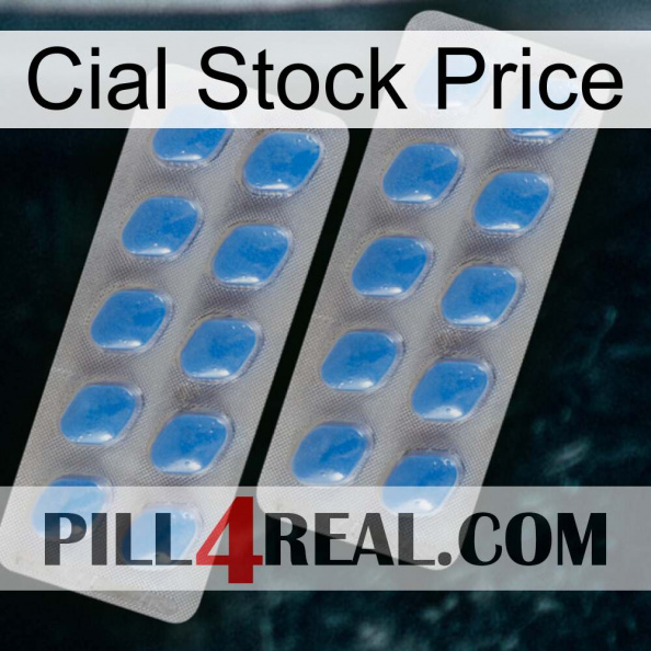 Cial Stock Price 23.jpg